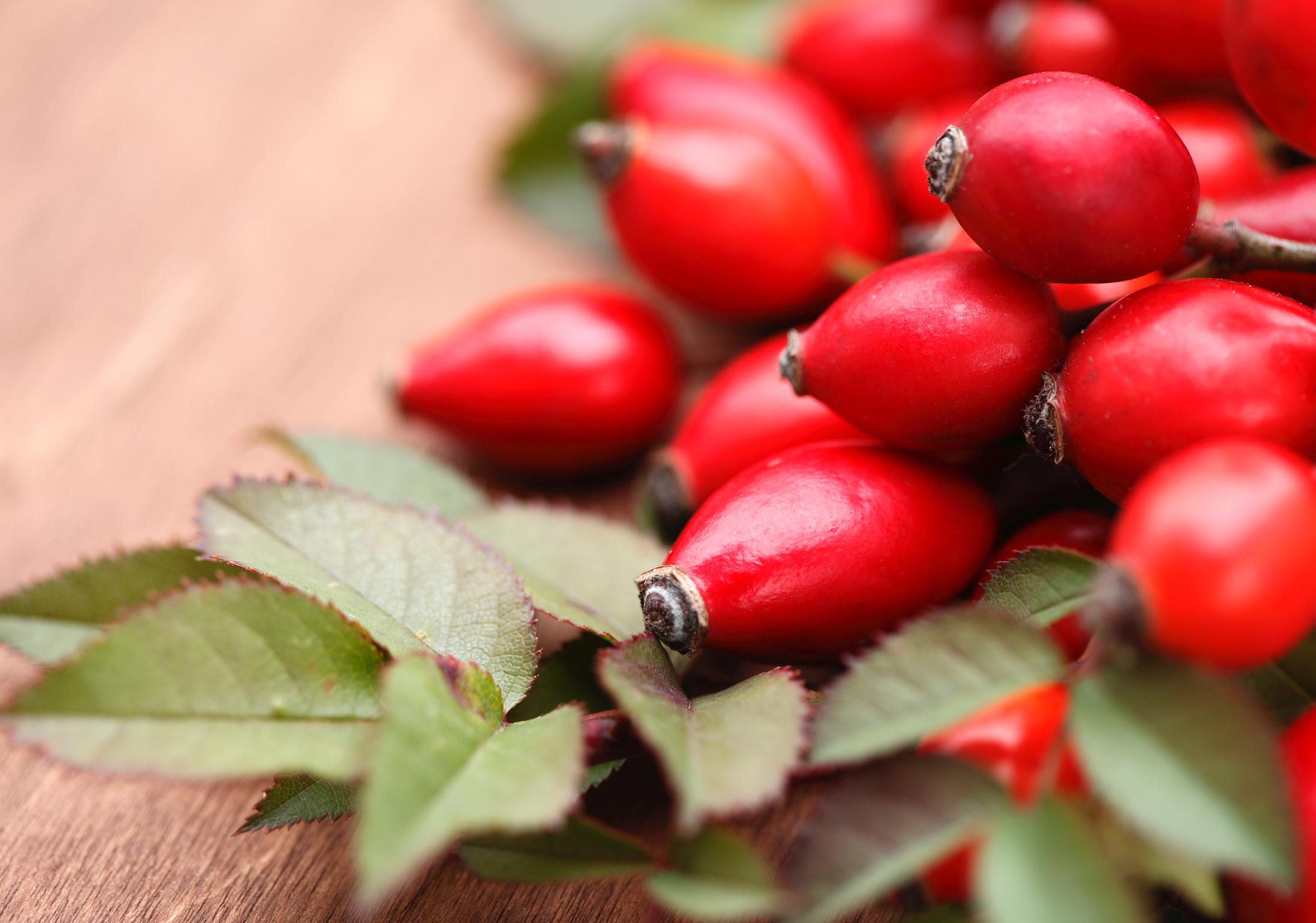 Does Rosehip Oil Get Rid Of Stretch Marks?