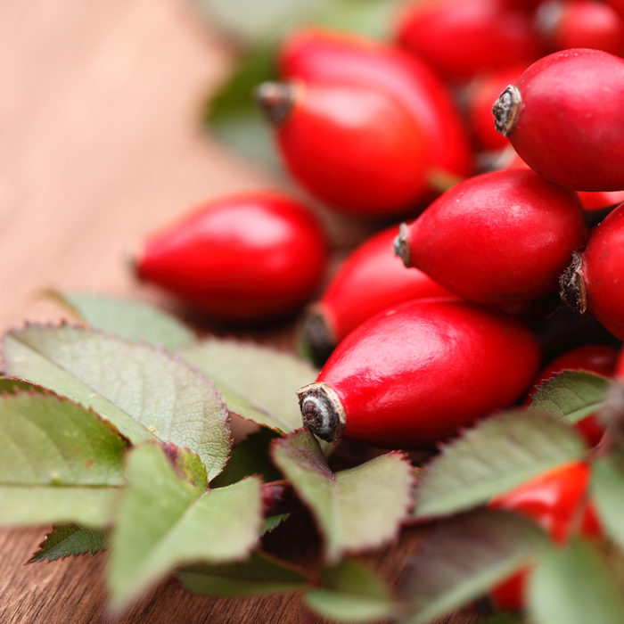 Does Rosehip Oil Get Rid Of Stretch Marks?